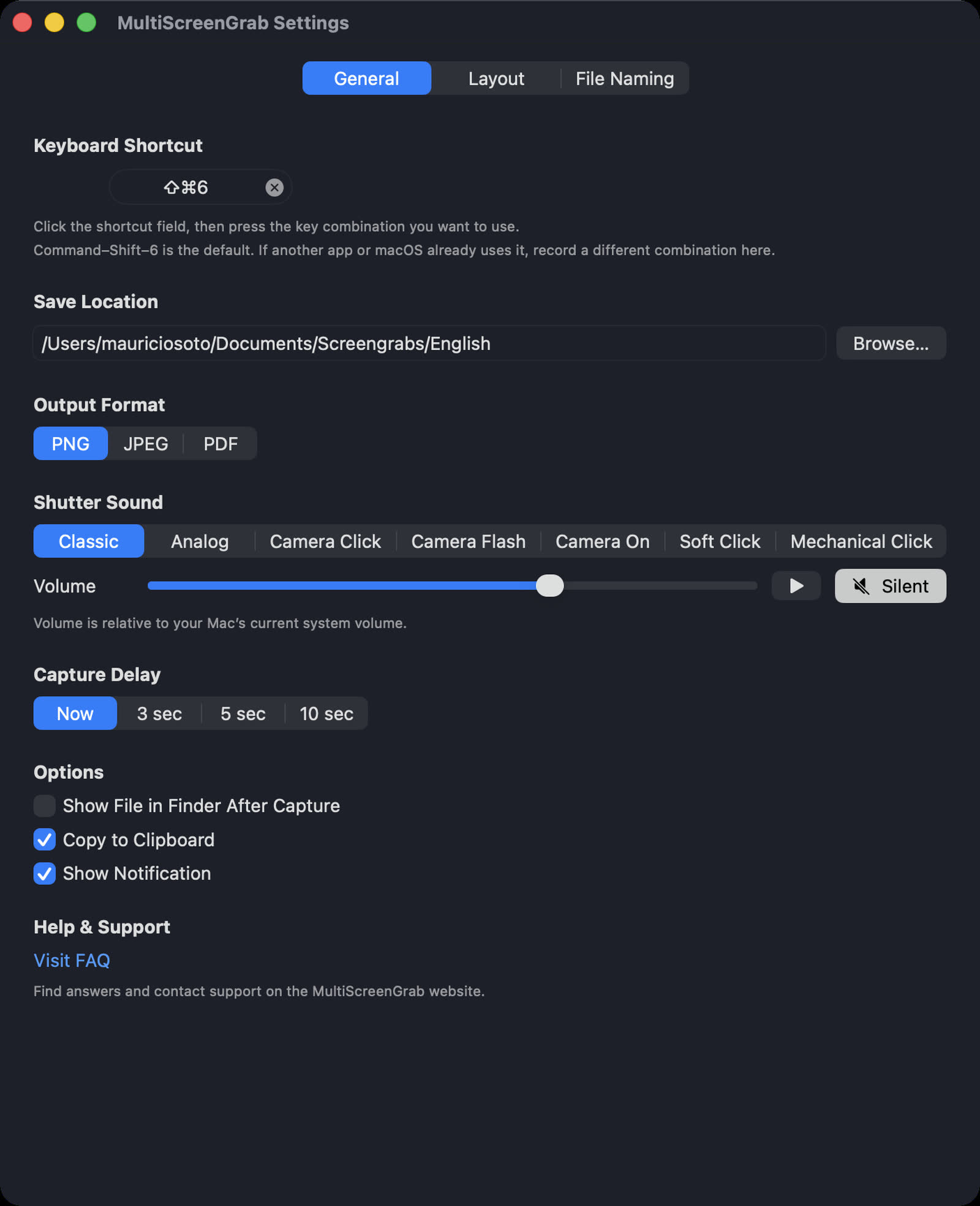 MultiScreenGrab General settings showing shortcut, save location, output format, shutter sound, capture delay